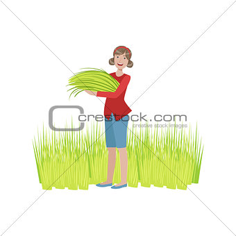 Woman Collecting Green Crops