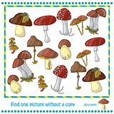 illustration with color mushrooms