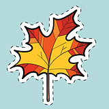 Autumn maple leaf, nature seasons. label sticker