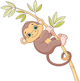 Baby Monkey 
