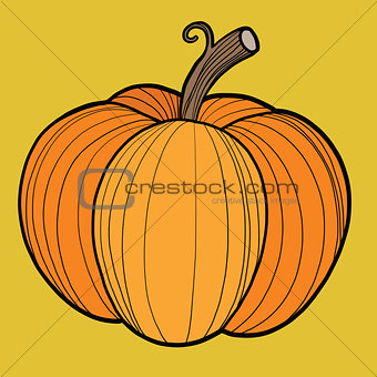 Ripe pumpkin, autumn harvest