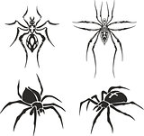 Tattoo skethes of spiders
