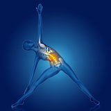 3D female figure in yoga pose with spine highlighted