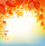 Abstract autumn background 