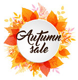 Abstract autumn banner with leaves