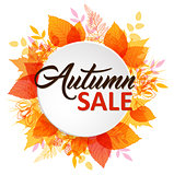 Abstract autumn banner with leaves