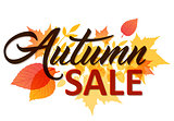 Autumn background for sale