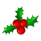 Christmas symbol holly berry
