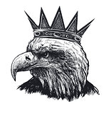 Detailed hand drawn eagle