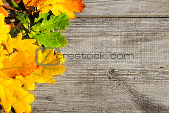 Autumn leaves on a table
