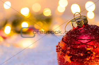 Christmas fir tree with lights