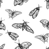 Vector seamless pattern with butterflies. Stylish graphic texture. Monochrome repeating print. Black and white engraving hand-drawn  moths