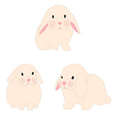 cute rabbit illustration set for baby fashion