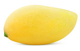 Ripe yellow mango fruit isolated on white