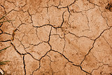 dry mud background texture
