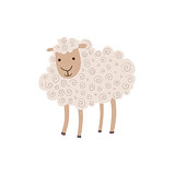 White Curly Sheep Standing