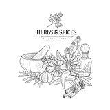 Herbs And Spices Hand Drawn Realistic Sketch