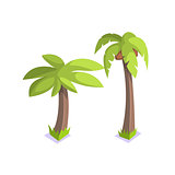 Two Palm Trees Jungle Village Landscape Element