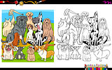 dog breeds coloring page