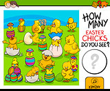 counting task with easter chicks