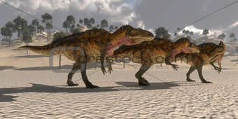 Acrocanthosaurus Dinosaurs