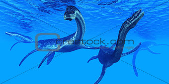 Plesiosaurus Marine Reptiles