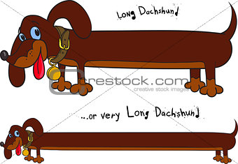 Long fun dachshund