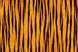 Fur Animal Textures, Tiger