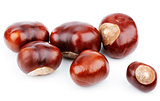 Group of chestnuts on white