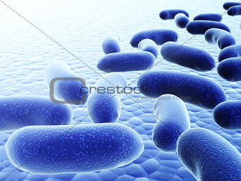 Colony of pathogenic viruses