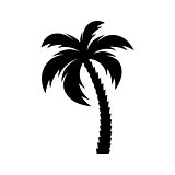 Black vector single palm tree icon