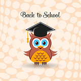 Cute owl with graduation hat