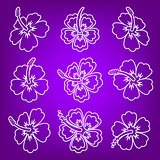 White vector hibiscus flower outline icons
