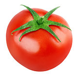Single fresh red tomato on white