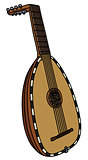 Historical lute