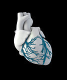 Illustraton Anatomy of Human Heart - Isolated on black