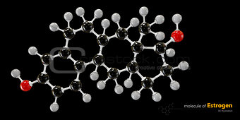Illustration of Estrogen Molecule isolated black background