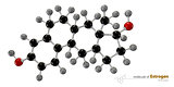 Illustration of Estrogen Molecule isolated white background