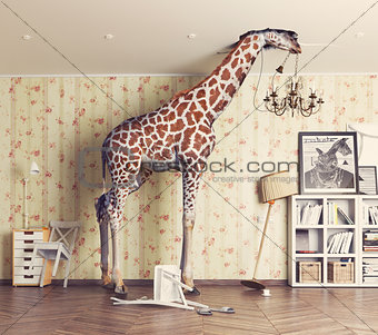 giraffe  in the living room