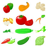 Vegetables photo realistic, vector set