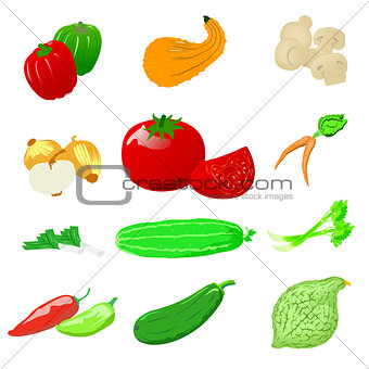 Vegetables photo realistic, vector set