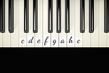 classic piano keys with note signs