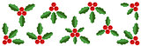Collection of Red Holly Berries and  Green Leaves