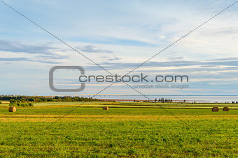 Hay bales on a farm along the ocean with the Confederation Bridg