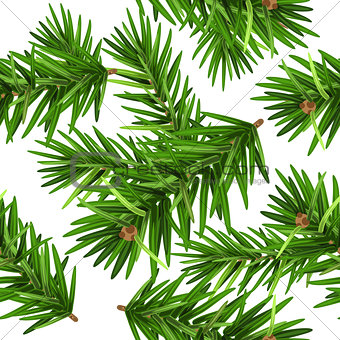 Green Christmas pine tree branch seamless background