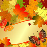 Autumn decorative floral frame with colorful translucent maple l
