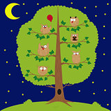 owl sitting at night on the tree, funny owls