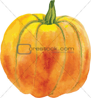 orange pumpkin with a green tail