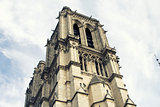 Cathedral Notre-Dame de Paris. Paris. France. 