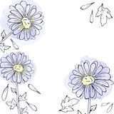 daisy flowers, floral vector set of ink drawing plants, monochrome black line drawn elements